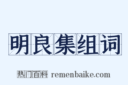 明良集组词是什么意思的图片